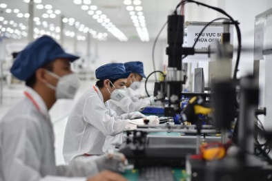 Điều kiện thuê chuyên gia nước ngoài lãnh đạo tổ chức KH&CN công lập