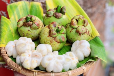 Chế biến quả măng cụt xanh cần lưu ý gì để có lợi cho 13Win19 ưu đãi hấp dẫn
