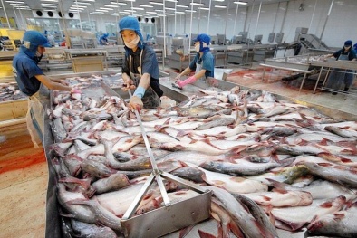 Liên minh châu Âu chấp nhận Hiệp định WTO về trợ cấp thủy sản