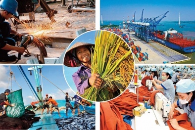 Kinh tế Việt Nam trong bối cảnh toàn cầu hóa và hội nhập quốc tế