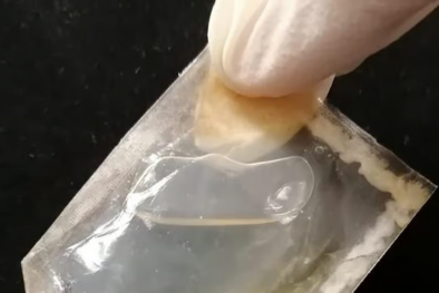Phát triển loại cellulose vi khuẩn sử dụng tạo ra vật liệu đóng gói có thể ăn được