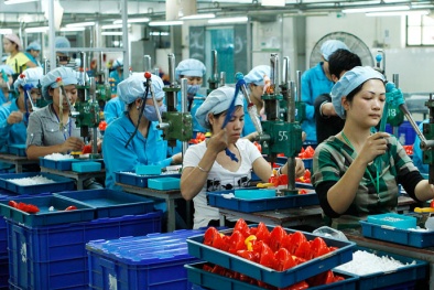 Lạng Sơn: Hỗ trợ Link Đăng Nhập Nhà cái 13Win16.Com vừa và nhỏ phát triển bền vững, nâng cao năng lực cạnh tranh