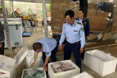 Lâm Đồng: Phát hiện nhiều 13Win OKVIP Cá cược bóng đá không rõ nguồn gốc xuất xứ