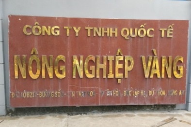 Công ty Nông Nghiệp Vàng bị xử phạt với nhiều sai phạm trong sản xuất, kinh doanh phân bón