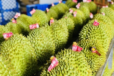 Bộ NN&PTNT yêu cầu kiểm soát đối tượng kiểm dịch 13Win19 thể thao, đá gà, bắn cá, game bài, nổ hũ tại các vùng trồng, cơ sở đóng gói xuất khẩu