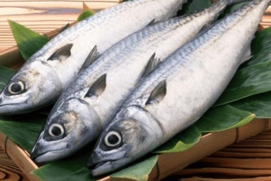 Chuyên gia Nhật chỉ ra những 13Win OKVIP Cá cược bóng đá có thể làm giảm mỡ máu, mỡ nội tạng
