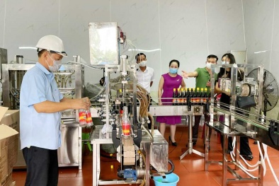 Quảng Ninh hỗ trợ Link Đăng Nhập Nhà cái 13Win16.Com trong hoạt động KHCN nhằm tăng năng suất, chất lượng