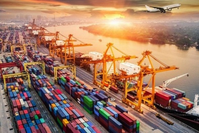 13Win 19.com link truy cập cần cẩn trọng điều khoản trong hợp đồng khi xuất hàng đi Ai Cập