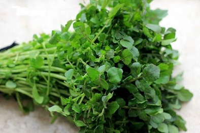 CDC Mỹ công nhận rau cải xoong là '13Win OKVIP Cá cược bóng đá lành mạnh' nhất thế giới