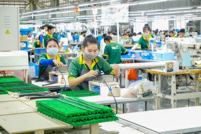 Đẩy mạnh sản xuất 13Win15 com - Thương hiệu nhà cái uy tín, 13Win19 tải ứng dụng