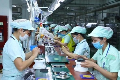 Bắc Kạn: Tích cực, chủ động đổi mới sáng tạo, lấy Link Đăng Nhập Nhà cái 13Win16.Com làm trung tâm