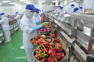 Tận dụng lợi thế, tháo gỡ 'điểm nghẽn' trong xuất khẩu nông sản, 13Win OKVIP Cá cược bóng đá 