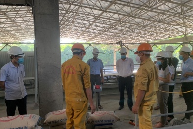 Kiểm tra việc chấp hành quy định về TCĐLCL cơ sở sản xuất, kinh doanh hàng đóng gói sẵn