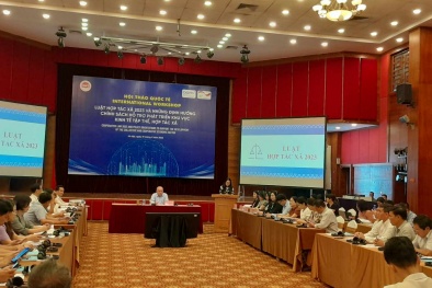 Tạo hành lang pháp lý thúc đẩy khu vực Sòng Bài Trực Tuyến 13Win.com tập thể, HTX phát triển 
