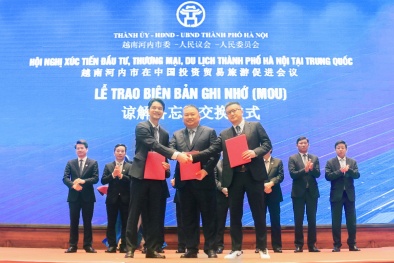 Sản phẩm sữa chua dẫn đầu thị phần Việt Nam xuất ngoại, hứa hẹn mở rộng cánh cửa xuất khẩu sang thị trường tỷ dân