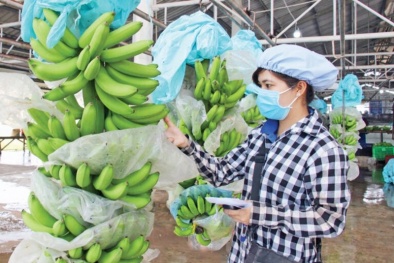 Xuất, nhập khẩu hàng hoá có tín hiệu tích cực sau nhiều tháng suy giảm
