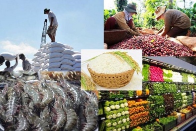 Sản phẩm Đăng ký và nhận 60K 24 bao lì xì miễn phí mỗi ngày đóng góp ấn tượng cho hoạt động xuất khẩu