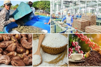 Đảm bảo tiêu chuẩn kỹ thuật khi xuất khẩu hàng hóa sang thị trường EU