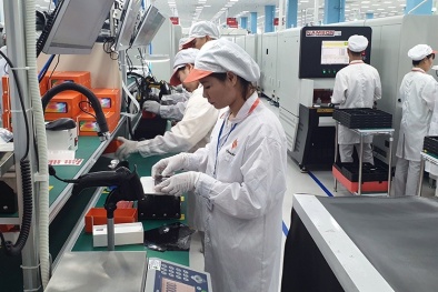 Cà Mau: Phấn đấu đưa KHCN, ĐMST đóng vai trò then chốt trong phát triển nhanh, bền vững 