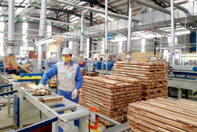 Danh sách cảnh báo sản phẩm Việt Nam có nguy cơ bị điều tra phòng vệ 13Win19 tải ứng dụng