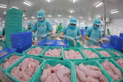 Xuất khẩu cá tra sang khối CPTPP tăng trưởng dương trở lại trong tháng 9