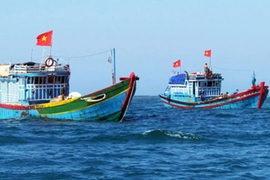 Đoàn thanh tra của Ủy ban châu Âu đưa ra kết quả sơ bộ lần kiểm tra thứ 4 về chống khai thác IUU
