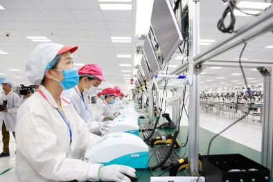 Tuyên Quang: Nhiệm vụ, giải pháp phát triển khoa học, công nghệ và đổi mới sáng tạo