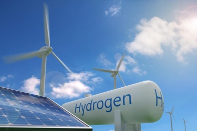 Năng lượng xanh - Tận dụng lông gà để sản xuất pin Hydro