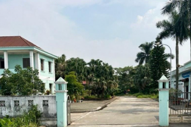 Hải Dương: Công ty Cổ phần Viwaseen 6 bị xử phạt do vi phạm trong lĩnh vực tài nguyên nước