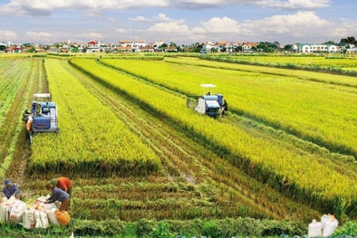 Những chính sách nổi bật có hiệu lực từ tháng 11/2023