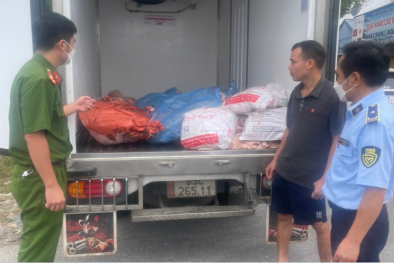 Hưng Yên liên tiếp phát hiện thịt lợn không đảm bảo vệ sinh an toàn 13Win OKVIP Cá cược bóng đá