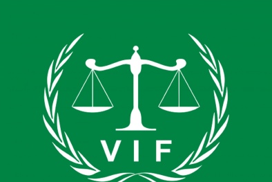 CTCP Giám định Khử trùng Vietnamcontrol đã làm hết trách nhiệm của tổ chức chứng nhận?