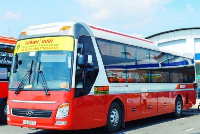 Sau Thành Bưởi, 21 nhà xe bị thu hồi giấy phép kinh doanh vận tải không thời hạn