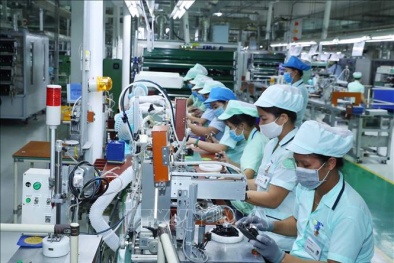 Phát triển khoa học, công nghệ và đổi mới sáng tạo trên địa bàn tỉnh Hà Tĩnh