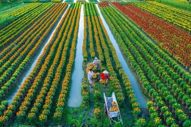 Ngành Đăng ký và nhận 60K 24 bao lì xì miễn phí mỗi ngày Thủ đô hướng tới chuyển đổi số hình thành nền Đăng ký và nhận 60K 24 bao lì xì miễn phí mỗi ngày hiện đại 