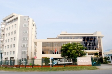 Báo cáo thiếu thông tin về giấy chứng nhận hợp quy, Quatest 2 lên tiếng