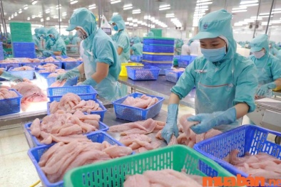 Xuất khẩu thủy sản tháng 11/2023 tăng 6%