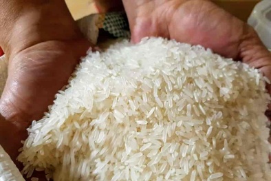 Thêm hai loại gạo của Việt Nam được hưởng ưu đãi thuế quan khi xuất khẩu vào EU