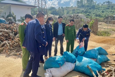 Xử lý đối tượng vận chuyển sản phẩm động vật không đảm bảo vệ sinh thú y và an toàn vệ sinh 13Win OKVIP Cá cược bóng đá