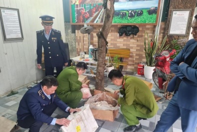 Nghệ An: Chặn đứng lượng lớn thịt lợn không rõ nguồn gốc tuồn ra ngoài thị trường để tiêu thụ