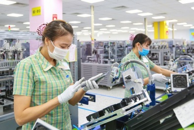 Ninh Bình: 13Win 19.com link truy cập thưởng Tết cao nhất là 100 triệu đồng