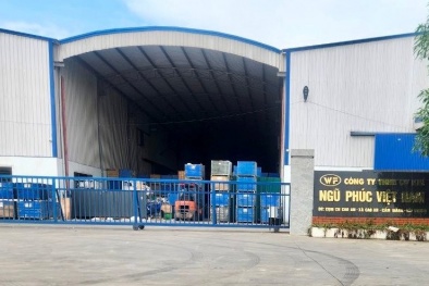 Cơ khí Ngũ Phúc Việt Nam bị xử phạt 264 triệu đồng do xả nước thải vượt quy chuẩn