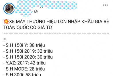 Cảnh giác chiêu trò lừa đảo mua xe xịn giá rẻ trên mạng