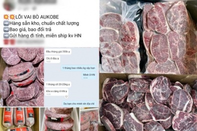 Hà Nội tràn lan 13Win OKVIP Cá cược bóng đá nhập khẩu giá rẻ không có nhãn mác, nguồn gốc xuất xứ