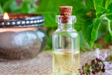 Cách dùng tinh dầu thảo dược hương nhu tránh phản tác dụng với 13Win19 ưu đãi hấp dẫn