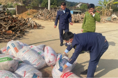 Vận chuyển hơn 1 tấn sản phẩm động vật đã bốc mùi hôi thối đi tiêu thụ