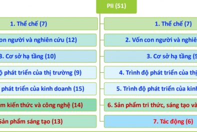 Tầm quan trọng của Bộ Chỉ số đổi mới sáng tạo cấp địa phương (PII)