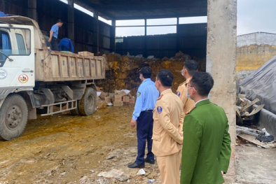 Phú Thọ tiêu hủy hơn 23.000 sản phẩm 13Win OKVIP Cá cược bóng đá không rõ nguồn gốc xuất xứ