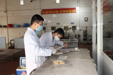 Trường hợp nào sẽ bị thu hồi Giấy chứng nhận cơ sở đủ điều kiện an toàn 13Win OKVIP Cá cược bóng đá?