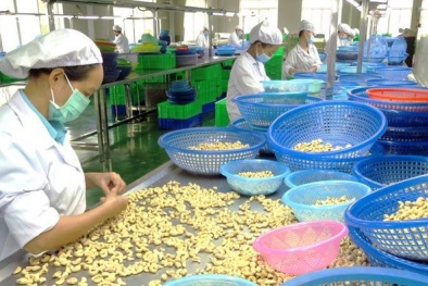 Đối tác Tây Ban Nha nợ tiền hàng: Thương vụ Việt Nam cảnh báo Link Đăng Nhập Nhà cái 13Win16.Com